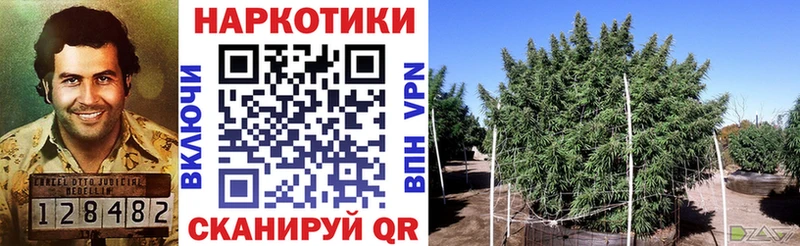 Где найти наркотики Долгопрудный Кокаин Галлюциногенные грибы Мефедрон