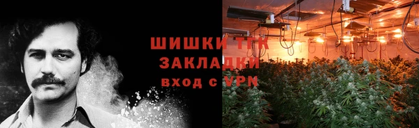 бошки Богданович