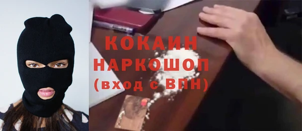 бошки Богданович