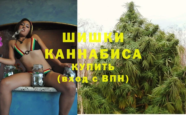 бошки Богданович