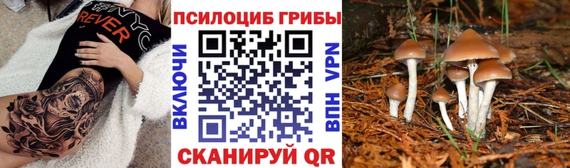 Псилоцибиновые грибы ЛСД  Долгопрудный 